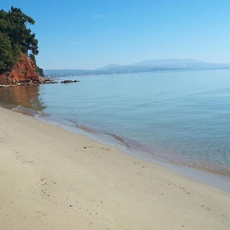 Sithonia Alekos Luxury Experience Lägenhet Metamorfosi  Exteriör bild
