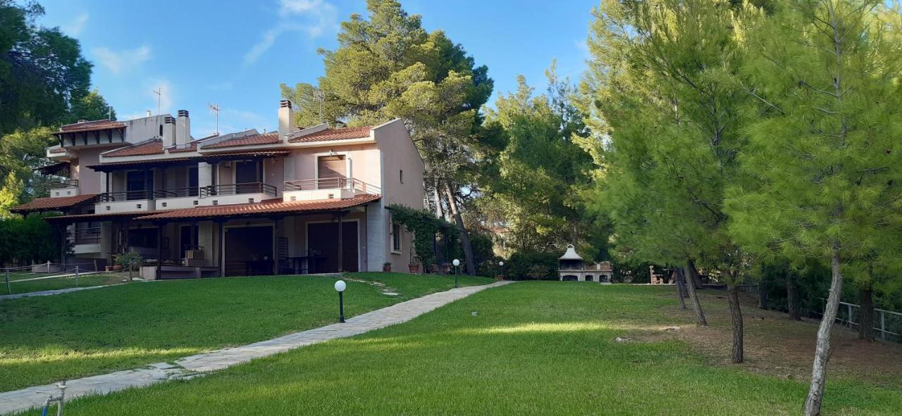 Sithonia Alekos Luxury Experience Lägenhet Metamorfosi  Exteriör bild