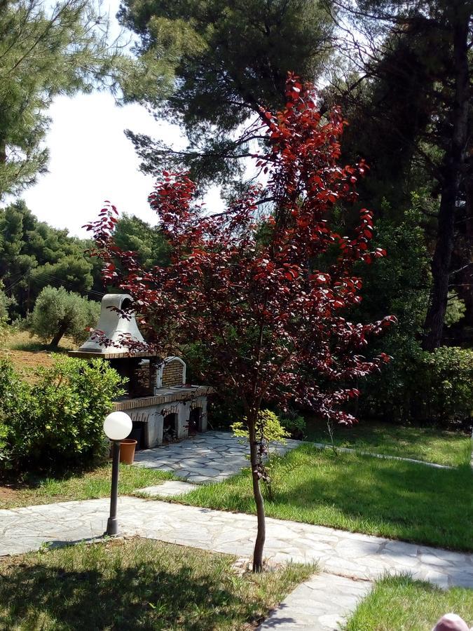 Sithonia Alekos Luxury Experience Lägenhet Metamorfosi  Exteriör bild